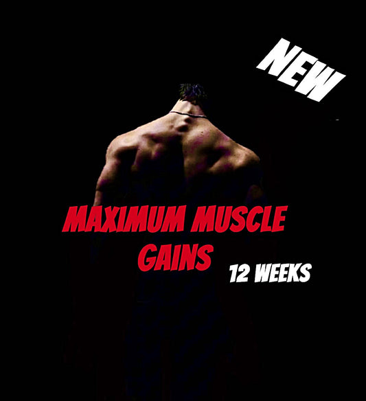 Maximum Muscle Gains 12-Week Program